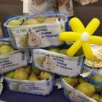 Giornata Nazionale ABIO 2018… Prenota il tuo Cestino!!! Giornata Nazionale ABIO 2018… Prenota il tuo Cestino!!!